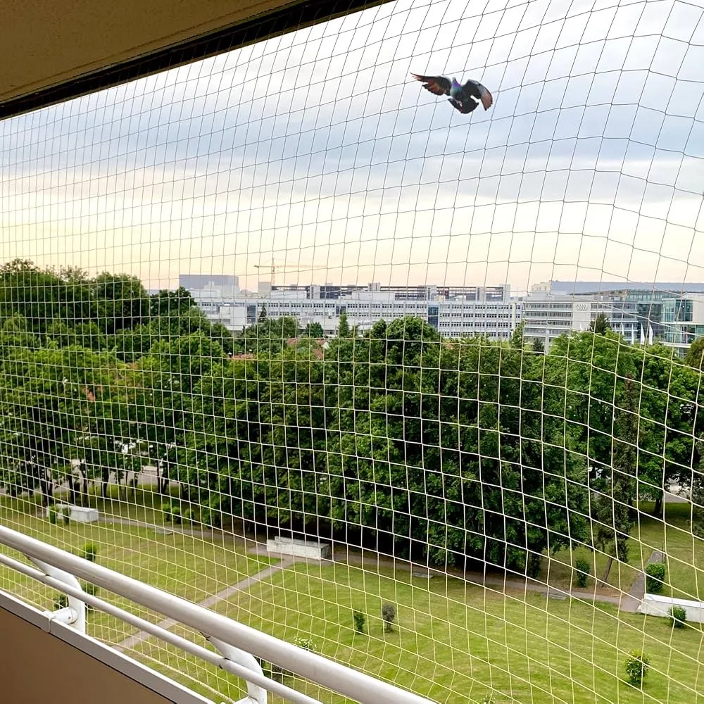 Bird net across a balcony opening keeping a pigeon outside