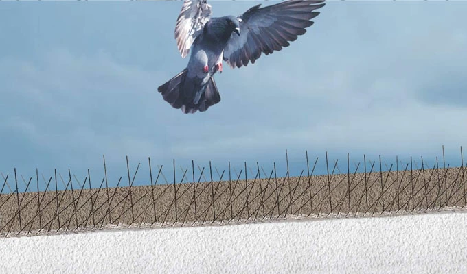 Anti Bird Nets
